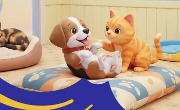 Abrigo de cães e gatos: Prefeitura de Bragança Paulista anuncia reestruturação
