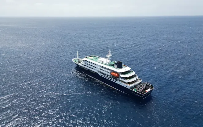 Hantavírus: conheça doença que causou surto em navio e é monitorada pela OMS