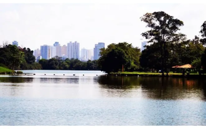 Mulher é encontrada morta seminua perto do Parque Ecológico do Tietê em São Paulo