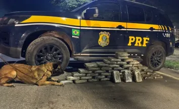 Cerca de 50 kg de maconha são apreendidos na Via Dutra, em Piraí