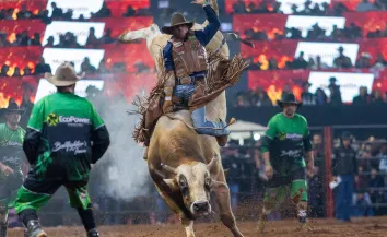 Festa do Peão de Americana terá transmissão do Brasil na Copa em telão na arena; veja programação